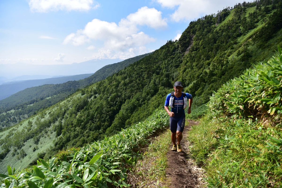 笹原の山道を走るトレイルラン